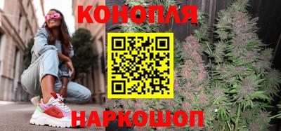 шишки Пугачёв