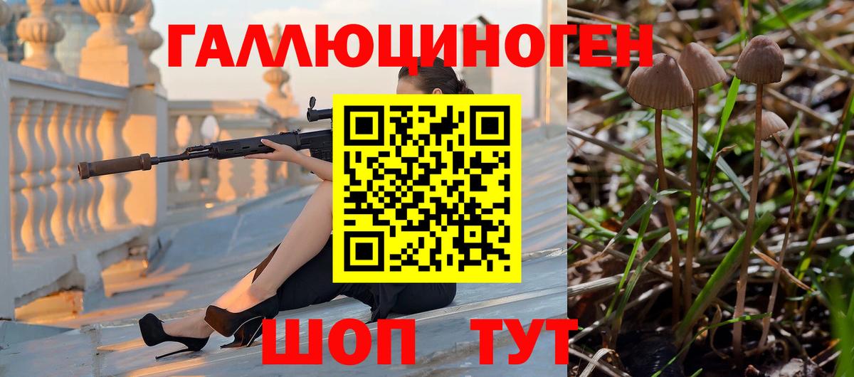 Галлюциногенные грибы Magic Shrooms Муравленко